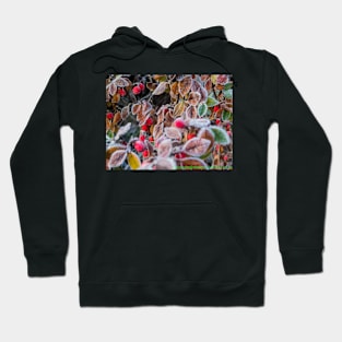 winter berries Hoodie